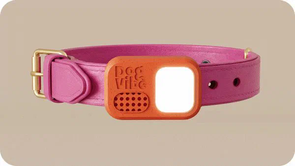リードの引っ張りを検知し、呼び戻しや吠えもスマホで躾けられる犬用トレーニングカラー DogVibe (ドッグバイブ) — 写真1